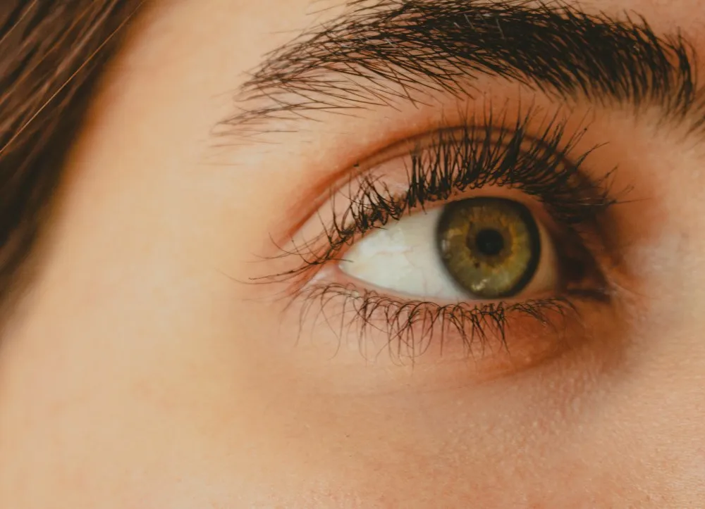 Olhar natural com cílios e sobrancelha alinhados